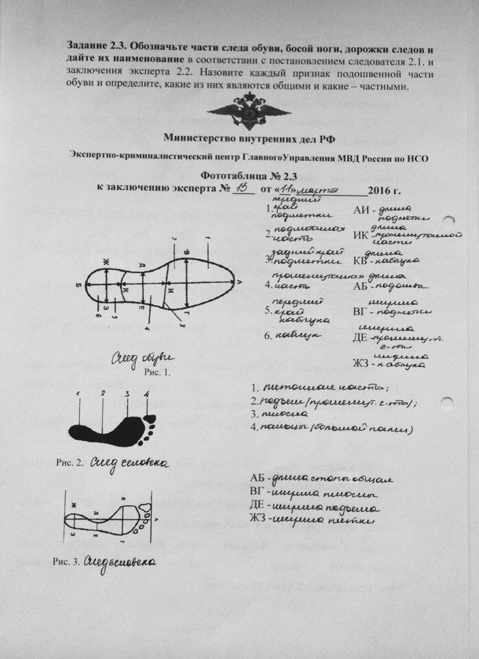 Части следа обуви